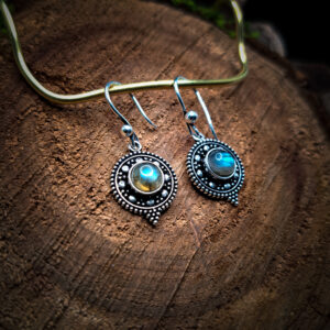 Moon Circle Mini Earrings